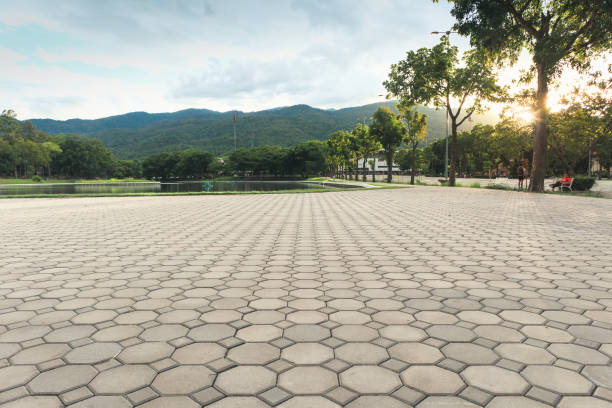 Best Custom Driveway Pavers  in Washington, IL